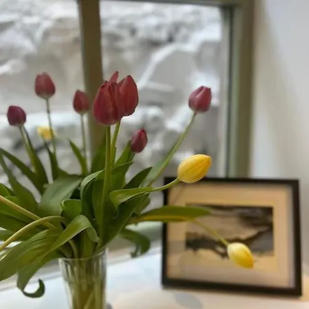 The Burrow, Gateway To The Lakes